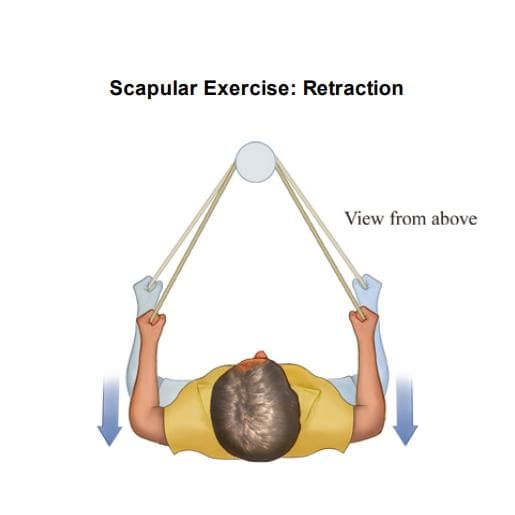 BAX-U Resistance Band Figure 8 Exercise Cord